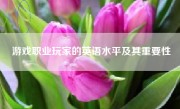 游戏职业玩家的英语水平及其重要性