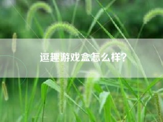 逗趣游戏盒怎么样？