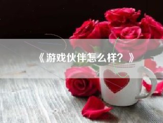 《游戏伙伴怎么样？》