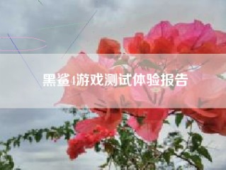 黑鲨4游戏测试体验报告