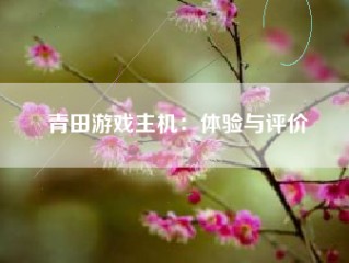 青田游戏主机：体验与评价