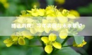 腾讯游戏：今年表现与未来展望