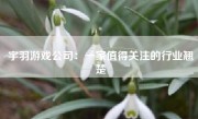 宇羽游戏公司：一家值得关注的行业翘楚