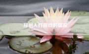邳州人打游戏的情况