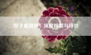 双子星游戏：深度探索与评价