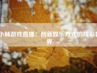 小赫游戏直播：创新娱乐方式的精彩世界