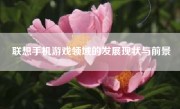 联想手机游戏领域的发展现状与前景