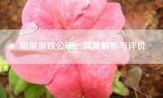 暗黑游戏公司：深度解析与评价