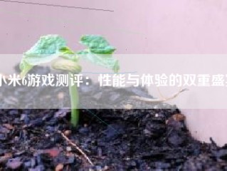 小米6游戏测评：性能与体验的双重盛宴