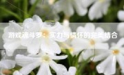 游戏魂斗罗：实力与情怀的完美结合