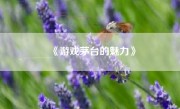 《游戏茅台的魅力》