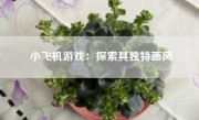 小飞机游戏：探索其独特画风