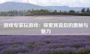 游戏专家玩游戏：探索其背后的奥秘与魅力