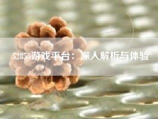 52855游戏平台：深入解析与体验