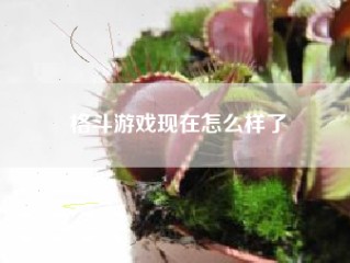 格斗游戏现在怎么样了