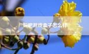 玩吧游戏盒子怎么样