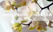 农村小学生做游戏机：一次寓教于乐的探索