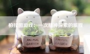 柏拉图游戏：一次精神探索的旅程
