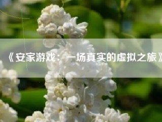 《安家游戏：一场真实的虚拟之旅》