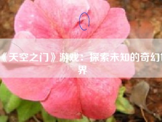 《天空之门》游戏：探索未知的奇幻世界