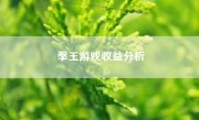 拳王游戏收益分析