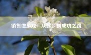 销售做游戏：从起步到成功之路