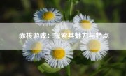 赤核游戏：探索其魅力与特点