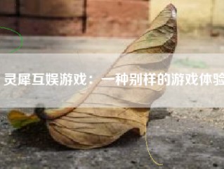 灵犀互娱游戏：一种别样的游戏体验