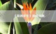 《禁闭求生》游戏评测