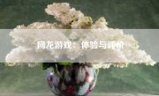 网龙游戏：体验与评价