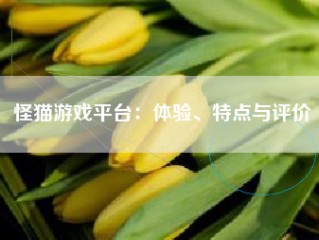 怪猫游戏平台：体验、特点与评价