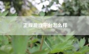 正规游戏平台怎么样