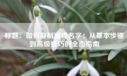 标题：如何复制游戏名字：从基本步骤到高级技巧的全面指南