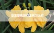 京东整机游戏主机怎么样