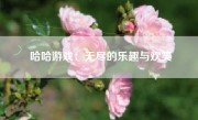 哈哈游戏：无尽的乐趣与欢笑