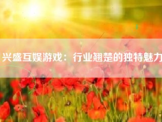 兴盛互娱游戏：行业翘楚的独特魅力