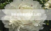 没有游戏爱好会怎么样？