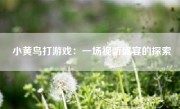 小黄鸟打游戏：一场视听盛宴的探索