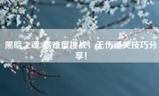 黑暗之魂3高难度挑战，无伤通关技巧分享！