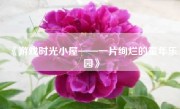 《游戏时光小屋——一片绚烂的童年乐园》