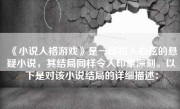 《小说人格游戏》是一部扣人心弦的悬疑小说，其结局同样令人印象深刻。以下是对该小说结局的详细描述：