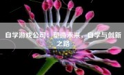 自学游戏公司：塑造未来，自学与创新之路