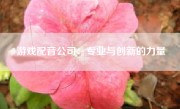 游戏配音公司：专业与创新的力量