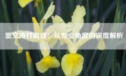 窦文涛打游戏：从专业角度的深度解析