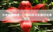 小米探秘游戏：一场科技与乐趣的完美结合