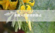 邯郸人打游戏的特点