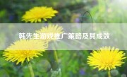 韩先生游戏推广策略及其成效