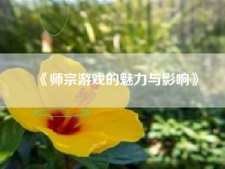 《师宗游戏的魅力与影响》