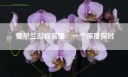 爱尔兰游戏客服：一个深度探讨