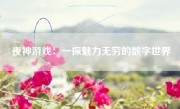 夜神游戏：一探魅力无穷的数字世界